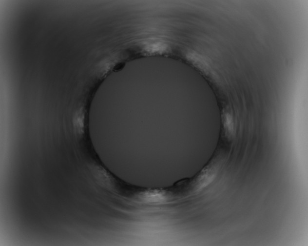 X0000089350668200707131532