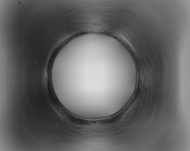 X0000089350674200707131531