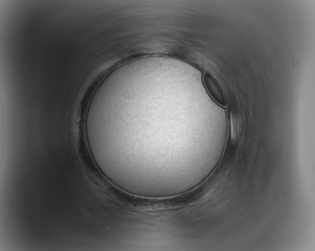 X0000089350675200707131531