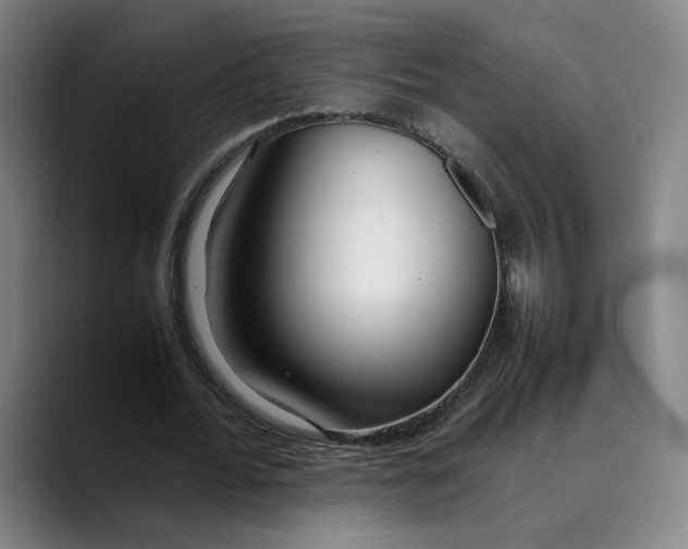 X0000089350676200707131531