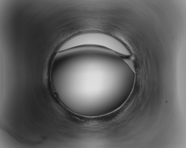 X0000089350677200707131531