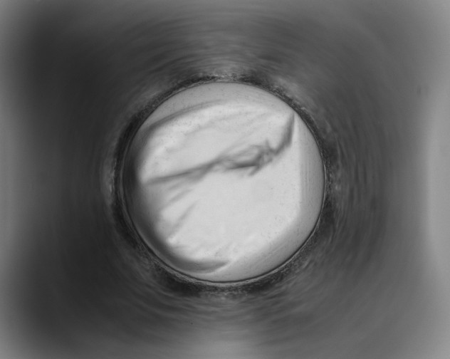 X0000089350679200707131531
