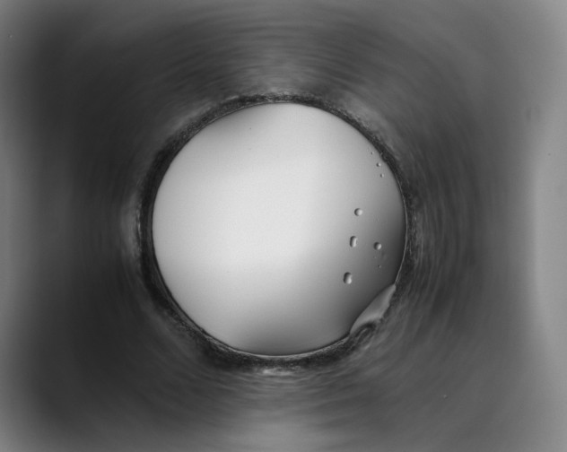 X0000089350680200707131531
