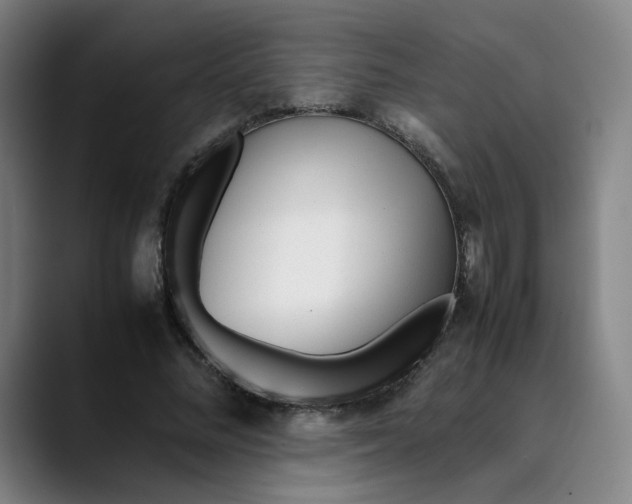 X0000089350684200707131531