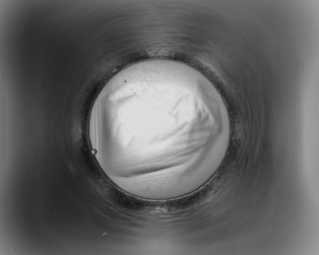 X0000089350687200707131531