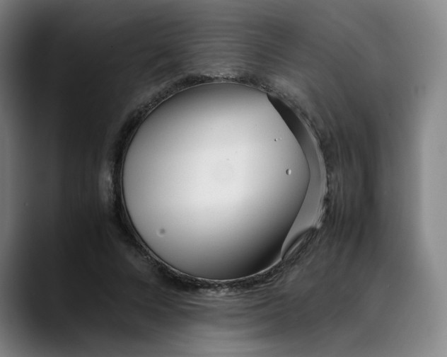 X0000089350688200707131531