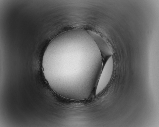 X0000089350689200707131531