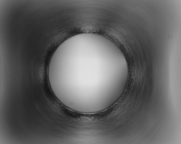 X0000089350690200707131531