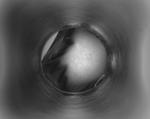 X0000089350692200707131531