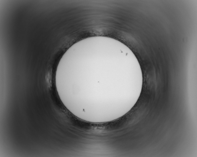 X0000089350694200707131531