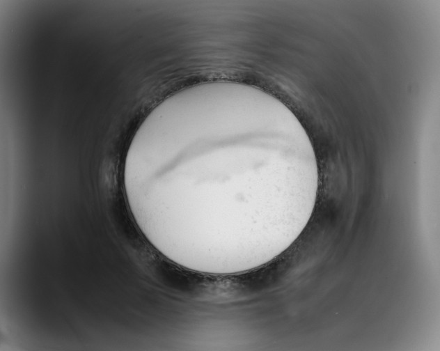 X0000089350695200707131531