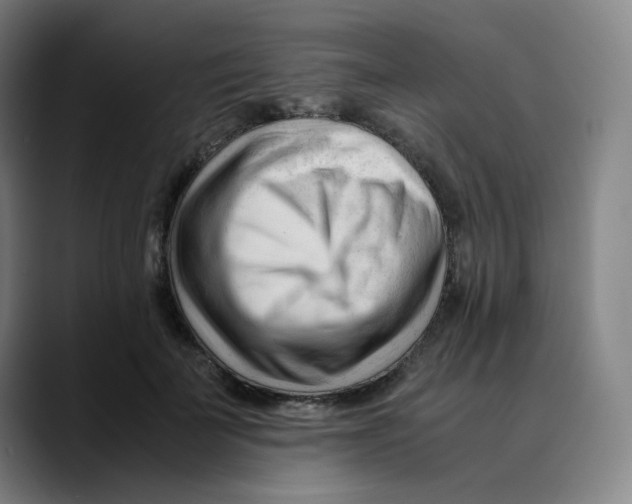 X0000089350699200707131531