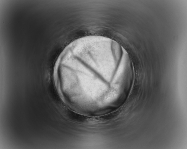 X0000089350703200707131531