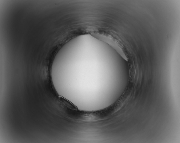 X0000089350704200707131531