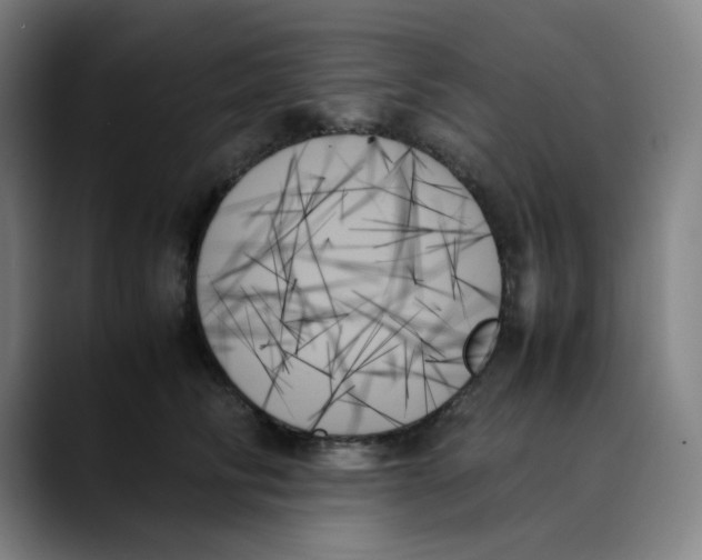 X0000089350710200707131531