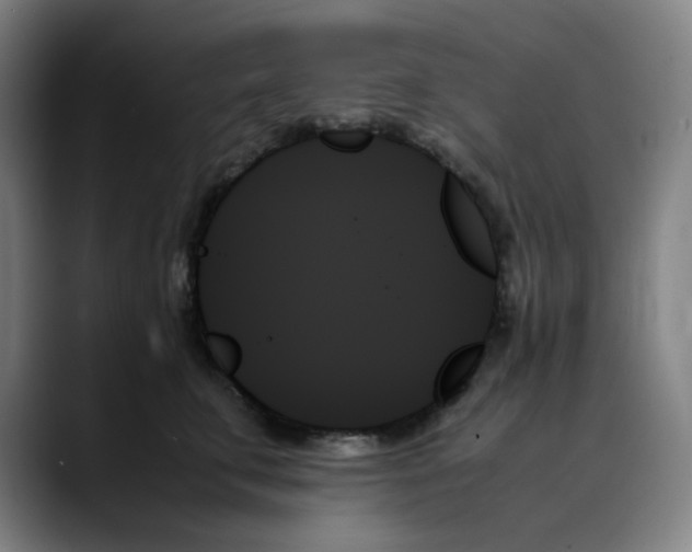 X0000089350711200707131531