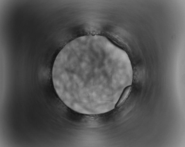 X0000089350713200707131531