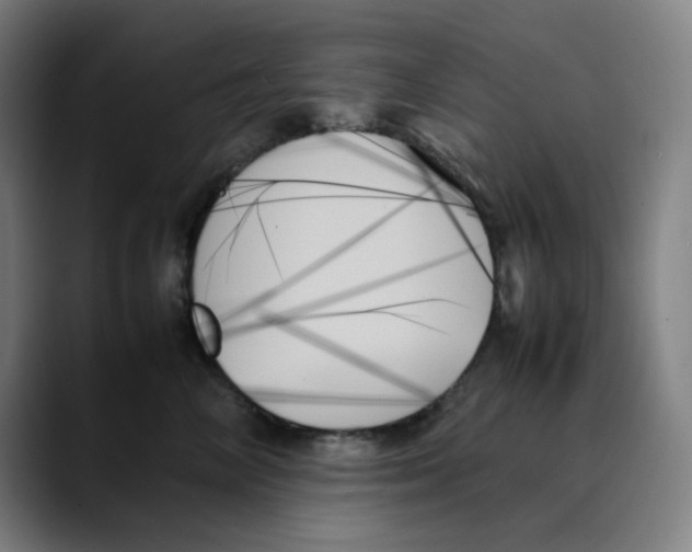 X0000089350714200707131531