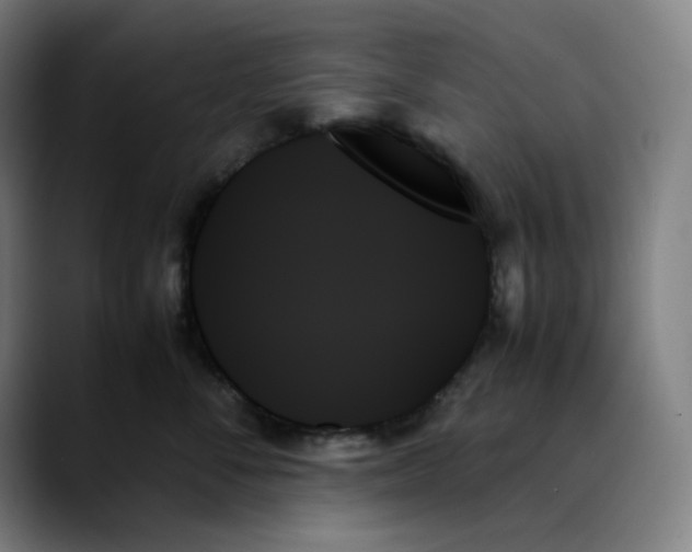 X0000089350716200707131531