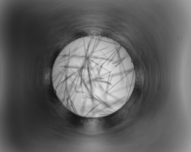 X0000089350717200707131531