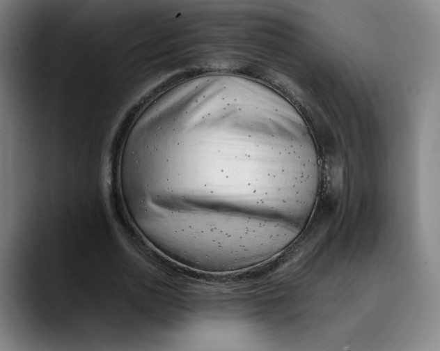 X0000089350726200707131530