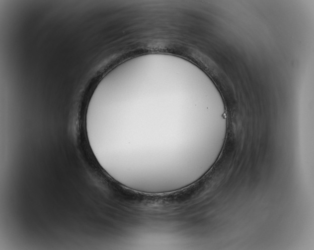 X0000089350728200707131530