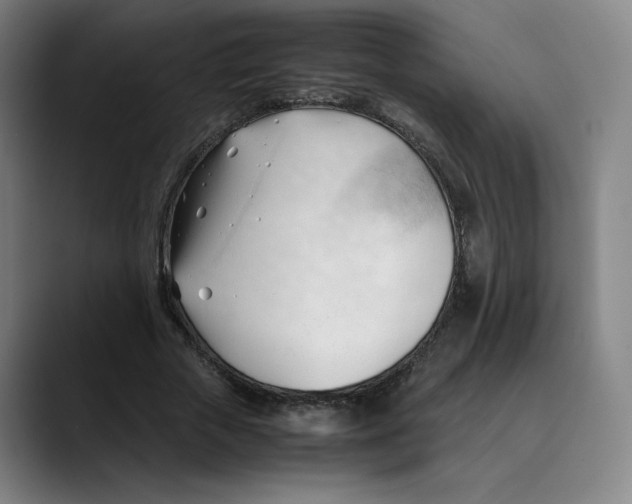 X0000089350729200707131530