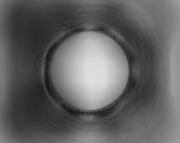 X0000089350730200707131530