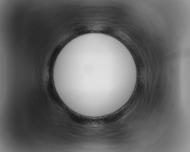 X0000089350731200707131530