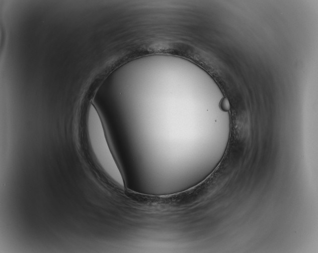 X0000089350732200707131530
