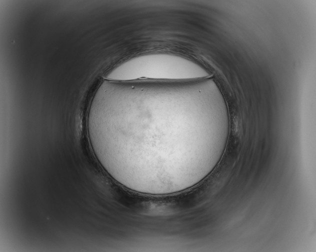 X0000089350733200707131530