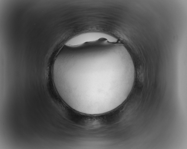 X0000089350735200707131530