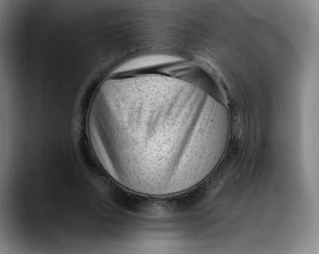 X0000089350736200707131530