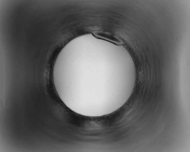 X0000089350739200707131531