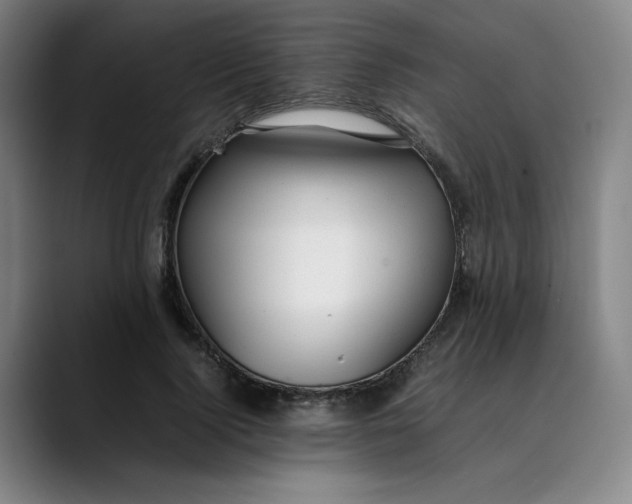 X0000089350740200707131531