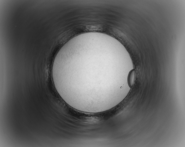 X0000089350741200707131531