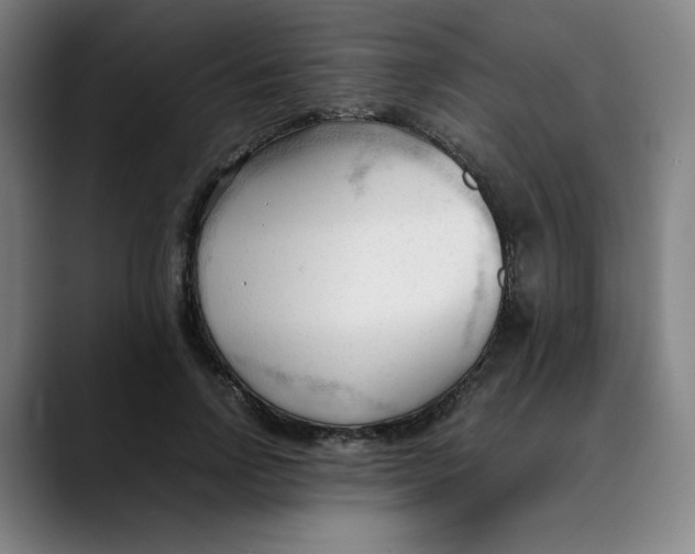 X0000089350742200707131531
