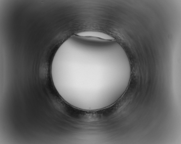 X0000089350744200707131531