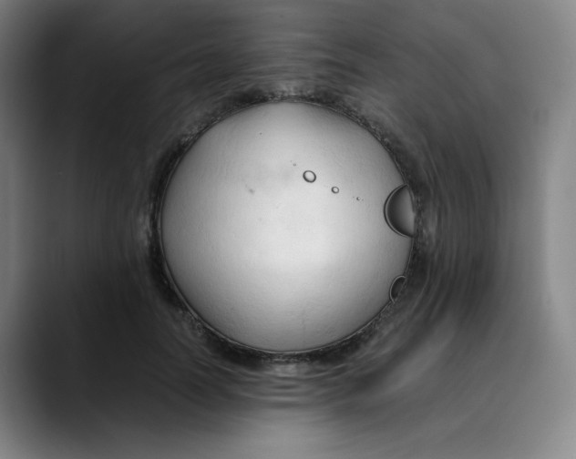 X0000089350746200707131531