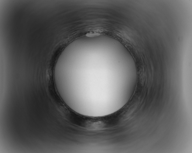 X0000089350747200707131531