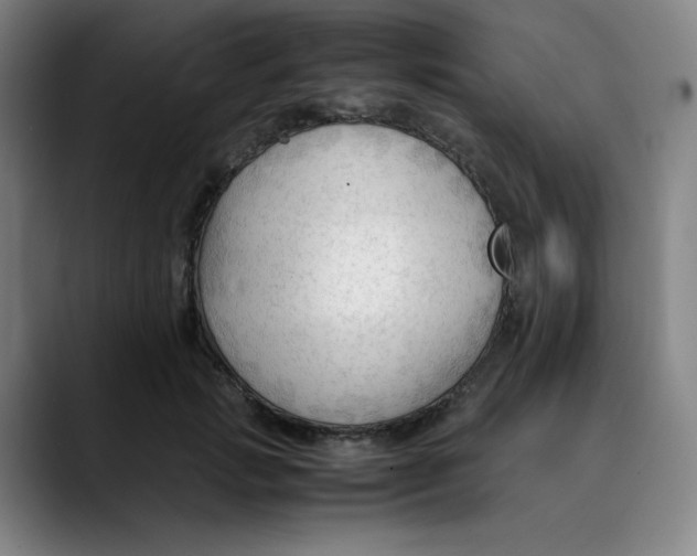 X0000089350749200707131531
