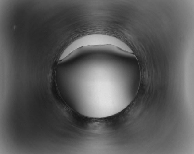 X0000089350750200707131531