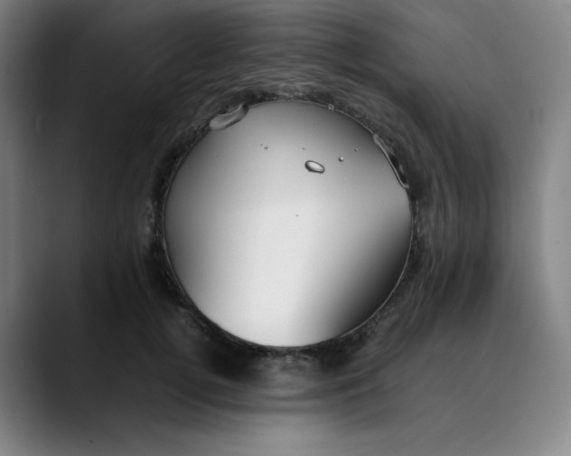 X0000089350752200707131531