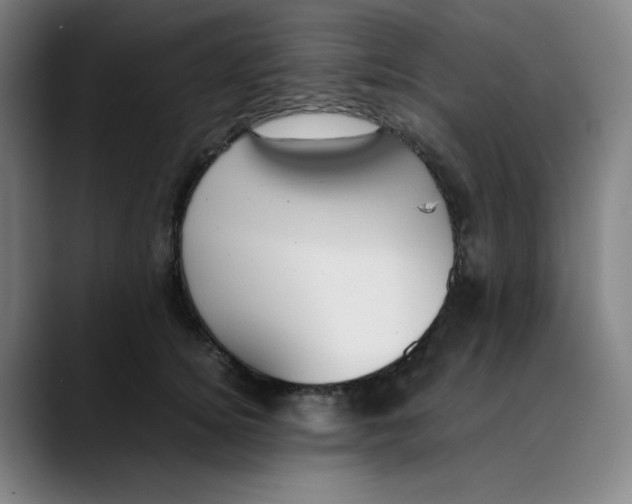 X0000089350756200707131531