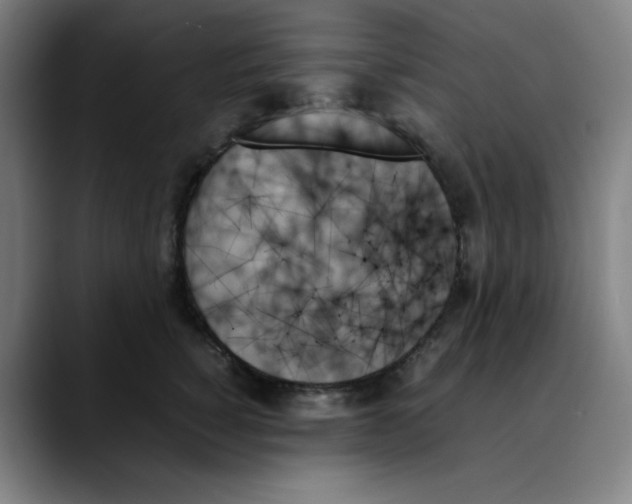 X0000089350760200707131531