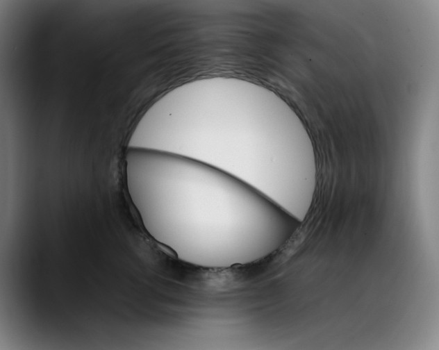 X0000089350762200707131531