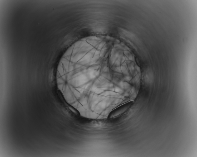 X0000089350764200707131531