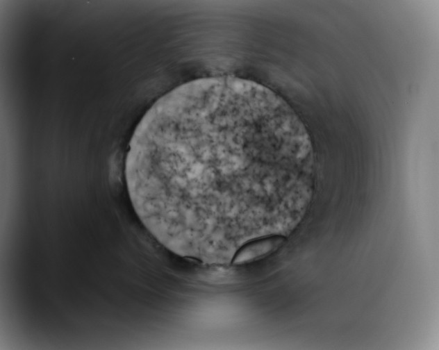 X0000089350768200707131531