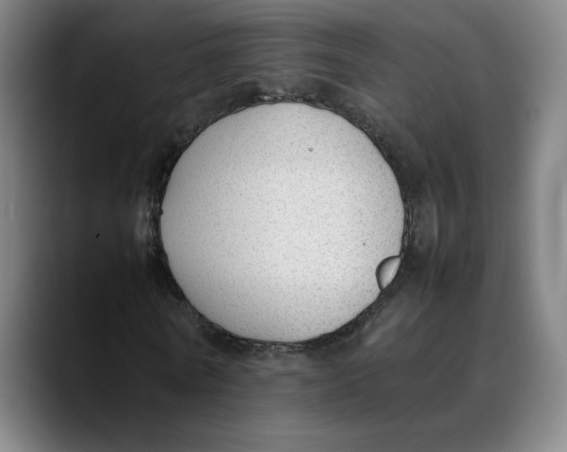 X0000089350770200707131530