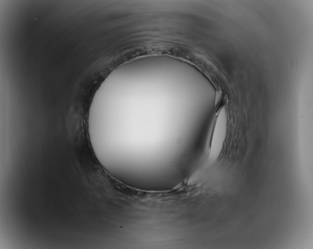 X0000089350773200707131530